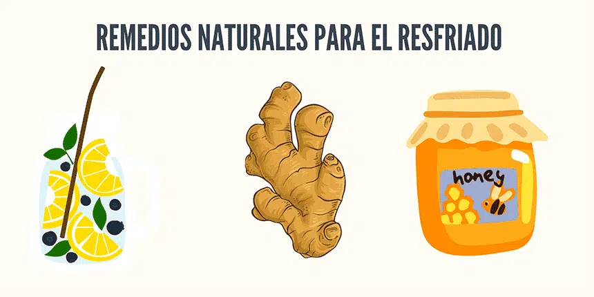 Publicamos información sobre remedios caseros de origen natural, su uso tradicional y los beneficios que se les atribuyen de forma popular.