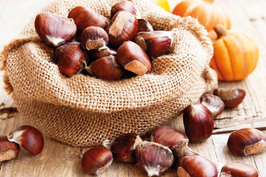 El fruto seco de temporada, La Castaña